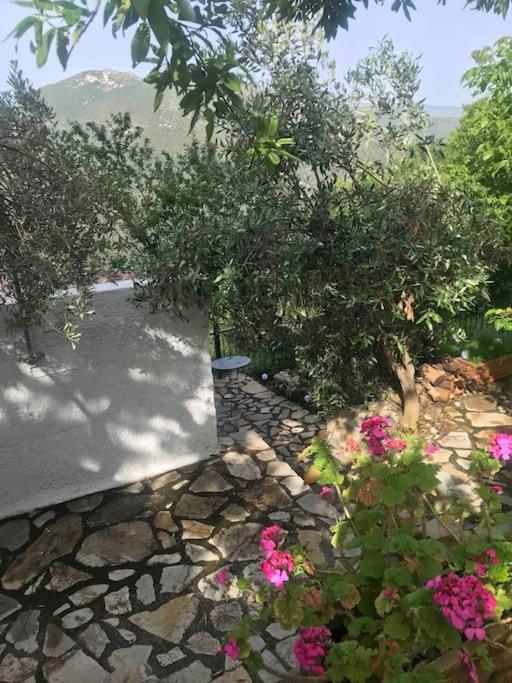 Theisoa.Old Little House In The Garden . Andritsaina. Villa Екстериор снимка